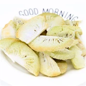 Frott tal-Kiwi imnixxef bil-friża